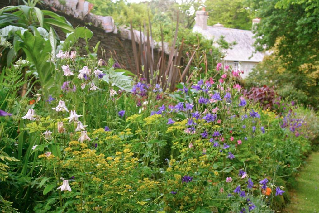 The Old Rectory Bed & Breakfast Boscastle Eksteriør bilde
